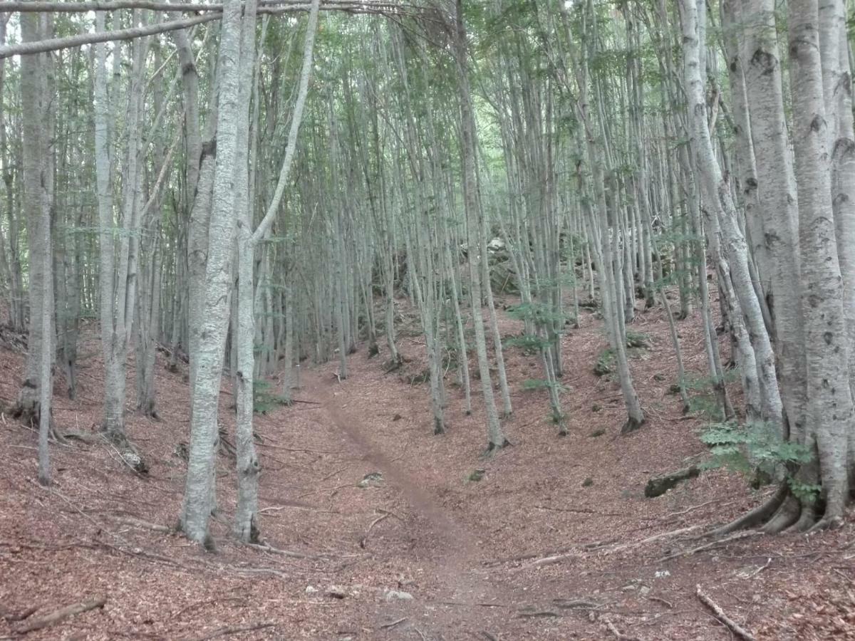 Affittacamere Da Morena Gorfigliano Exteriér fotografie