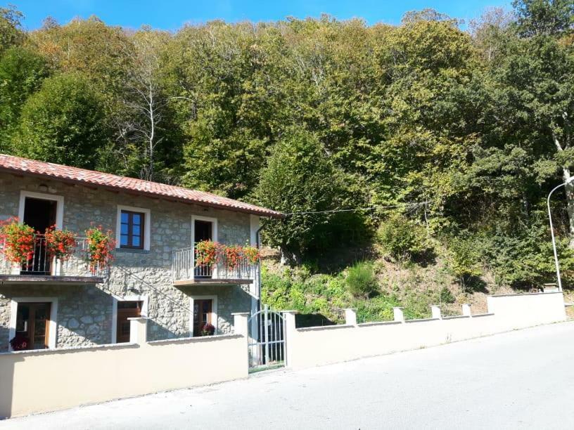Affittacamere Da Morena Gorfigliano Exteriér fotografie